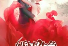 婚情告急宣柳宁司逸尘小说大结局免费试读-个性文学