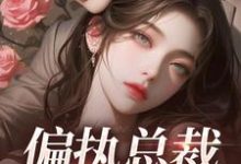 小说《偏执总裁不好惹》章节免费阅读-个性文学