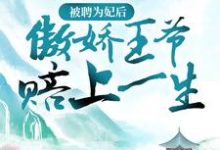 哪里能找到被聘为妃后，傲娇王爷赔上一生小说的最新更新和免费章节？-个性文学