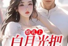 《婚礼上，白月光把男友截胡了》全集免费在线阅读（沈矜陈槿之）-个性文学