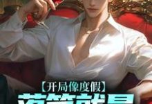 开局像度假，落笔就是让子弹飞？小说最新章节在哪里可以读到？-个性文学