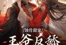 想读沈则仪尉迟衍的故事，哪里可以免费找到蚀骨甜宠：王爷反舔小妾室？-个性文学