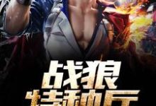 小说《战狼特种兵》章节阅读-个性文学