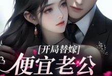 已完结小说《开局替嫁，便宜老公身份不一般》章节在线阅读-个性文学