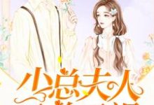 小说《少总夫人又美又飒》章节免费阅读-个性文学