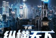 千术：纵横天下沈南一苏晴小说在线章节目录阅读最新章节-个性文学