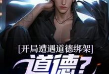 完结版《开局遭遇道德绑架,道德?我没有!》免费阅读-个性文学