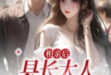 相亲后，县长大人他忍不住了这本小说在哪里可以看？哪里有免费试读章节？-个性文学