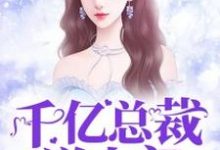 小说《千亿总裁送上门》章节免费阅读-个性文学