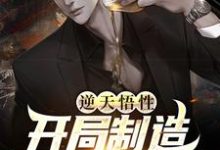 逆天悟性,开局制造可控核聚变小说全文哪里可以免费看?-个性文学