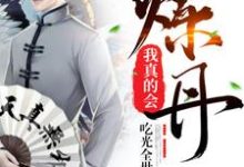 我真的会炼丹小说，我真的会炼丹最新章节-个性文学