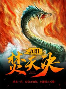 哪里能找到九阳焚天决小说的最新更新和免费章节？