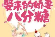 甜蜜诱饵：娶来的娇妻八分糖这本小说完结了吗？免费查看最新章节-个性文学