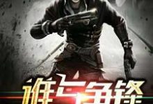 主人公叫杨辰许露的小说哪里免费看-个性文学