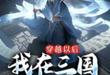 免费在线阅读穿越以后，我在三国呼风唤雨小说的正规网站有哪些？-个性文学