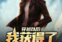 小说《穿越以后，我获得了签到系统》章节免费阅读-个性文学