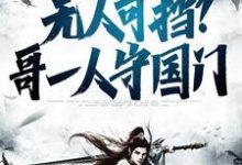 小说《无人可挡？哥一人守国门》章节免费阅读-个性文学