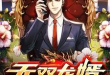 哪里能找到无双龙婿小说的全部章节？-个性文学