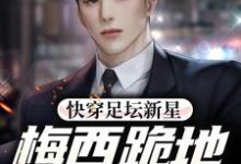 快穿足坛新星，梅西跪地求放过小说无弹窗阅读的网站推荐-个性文学