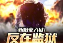 哪里可以免费读到秦风林婉儿的完整故事？寻找新婚夜入狱！反在监狱成大佬-个性文学