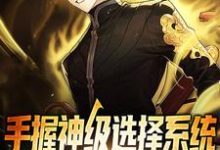 手握神级选择系统，一起制霸世界免费阅读，手握神级选择系统，一起制霸世界章节在线阅读-个性文学