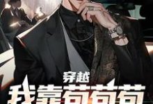 男女主人公叫赵旭东苏慕雪的小说免费资源-个性文学