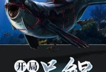 小说《开局一只鲲》在线章节阅读-个性文学