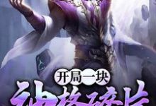 《开局一块神格碎片》全集免费在线阅读（[标签:作者]）-个性文学