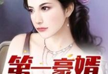 陆铭时灵云宁彩华为主角的小说叫什么？免费看第一豪婿-个性文学