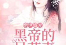 绝世盛宠:黑帝的呆萌妻小说阅读,绝世盛宠:黑帝的呆萌妻完结版-个性文学