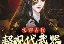 小说《快穿古代:超现代武器全在我手》章节阅读-个性文学
