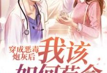 求穿成恶毒炮灰后我该如何苟命小说的全文免费阅读链接-个性文学