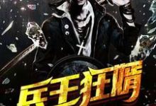 凌云林浅浅的完整故事在哪里？读兵王狂婿小说-个性文学