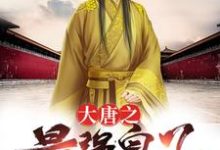 在线搜索李泰李世民长孙无忌的完整小说,免费阅读大唐之最强皇子-个性文学