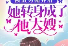 小说《被渣男抛弃后，她转身成了他大嫂》章节阅读-个性文学