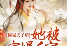 月离宋玄为主角的小说撞见天子后，她被宠爆后宫在线阅读-个性文学