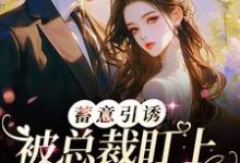 《蓄意引诱!被总裁盯上的日日夜夜》小说大结局免费试读 苏清瑶傅璟琛小说-个性文学