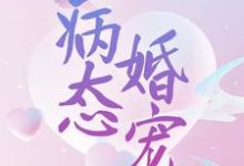 《病态婚宠》小说章节列表免费试读, 宋沐笙顾崇锦小说在线阅读-个性文学