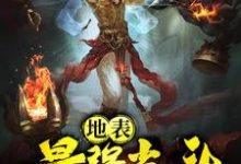 哪里能找到地表最强光头小说的最新更新和免费章节?-个性文学