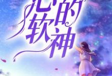 《心软的神》小说章节列表免费试读，温时砚周琦雯小说在线阅读-个性文学