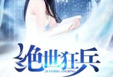 绝世狂兵苏石慕容雪在线章节免费阅读-个性文学