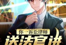 《你一诉讼律师,送法官进去合理吗?》全集免费在线阅读(杜仓)-个性文学