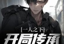 完结版《一人之下:开局传承灭世天灾》免费阅读-个性文学