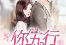 池总，你五行缺我这本小说完结了吗？免费查看最新章节-个性文学