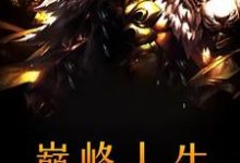 已完结小说《巅峰人生》在线章节阅读-个性文学