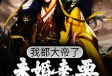 我都大帝了，未婚妻要和我退婚？小说的无弹窗阅读体验，寻找免费阅读网站-个性文学