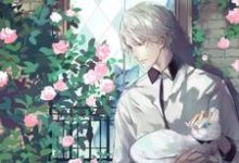 苏毕柳思萱苏废柴的故事在哪本书里？免费阅读都市护花高手-个性文学