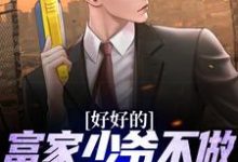 好好的富家少爷不做,要做流浪汉小说的无弹窗阅读体验,寻找免费阅读网站-个性文学