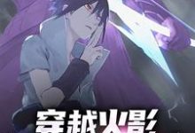 免费阅读佐助宇智波佐助为主角的小说,穿越火影,开局天赋拉满在线看-个性文学