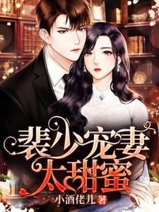 寻找裴少宠妻太甜蜜小说的最新更新章节